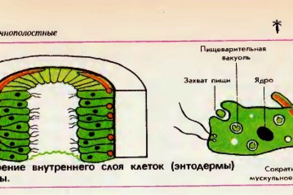 Ссылка на омг через тор