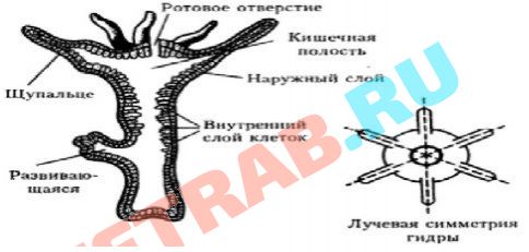 Omg сайт зайти